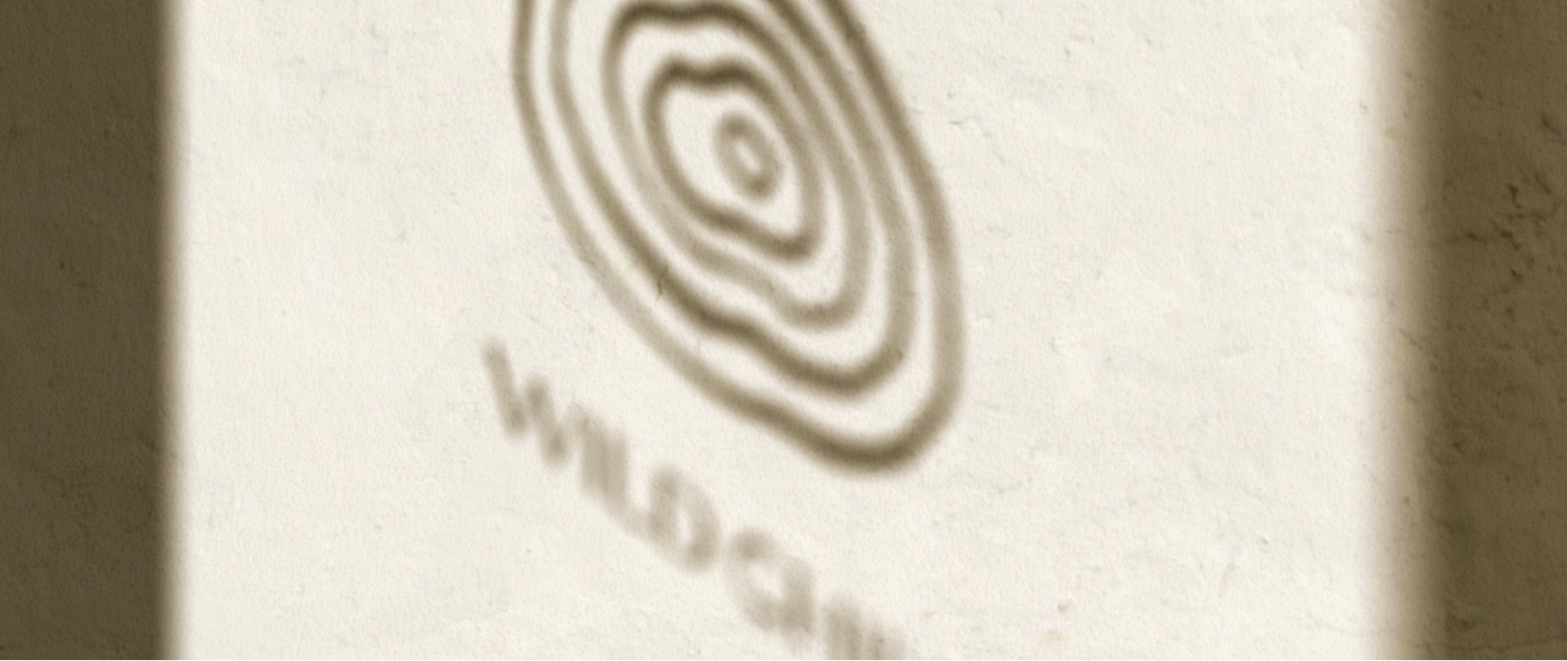 Wild-Child-Logo als Schattenwurf auf einer Wand