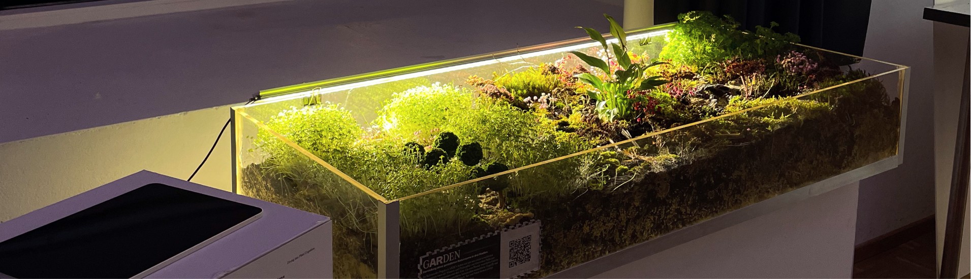 Beleuchtetes Gartenmodell in einer Acrylglasvitrine