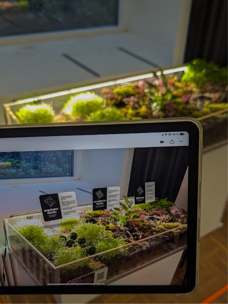 augmented reality