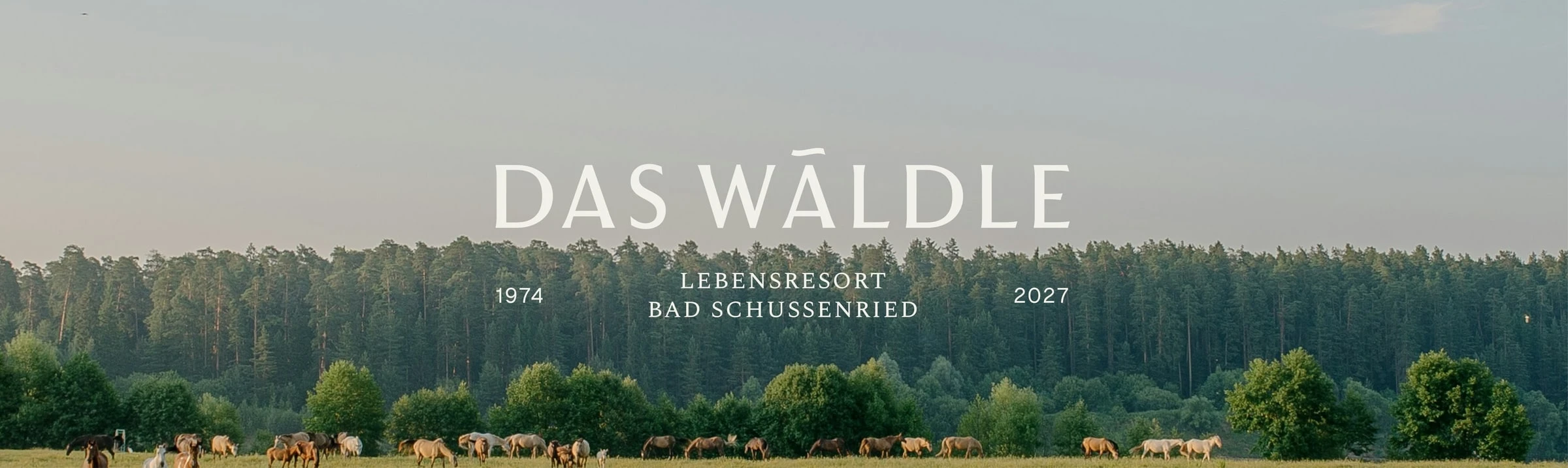 Das-Wäldle-Schriftzug über Waldrand mit Pferdeherde